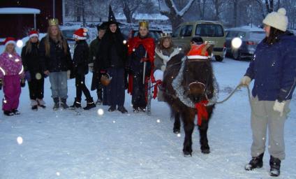 Snövit och snö hör till Värings julmarknad. Välkomna 4 december 2011, 15.00-18.00.