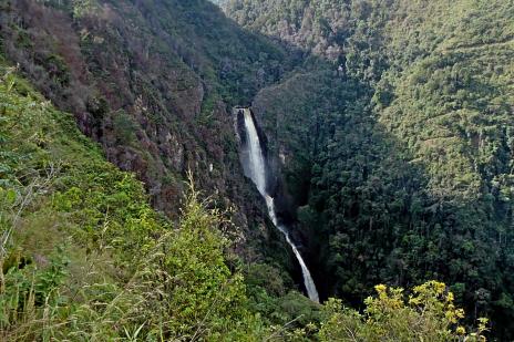 Colombias högsta vattenfall, drygt 200 meters fallhöjd