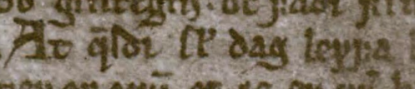Bilden visar ett utdrag från det enda bevarde manuskriptet av Hávamál som ingår i Codex Regius. Texten lyder på isländska \