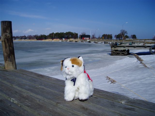 Socks in front of the harbour in Bergkvara.

More pictures