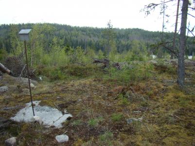 Skylten (till vänster i bild) som sattes upp på en tall flyttades för att den skulle finnas kvar vid Björnhällan som ett minne.