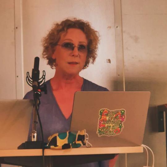 Maria Nordheden-Gard. Rektor på Freinetskolan Kastanjen talade också under seminariet. 
