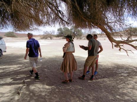 Bra öken i Namibia, med träd som ger skugga