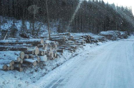 Ute i Tollster i Nordingr har sex skogsgare via Norrskog avverkat strre och mindre poster av virke som ligger vid vgkanten fr hmtning