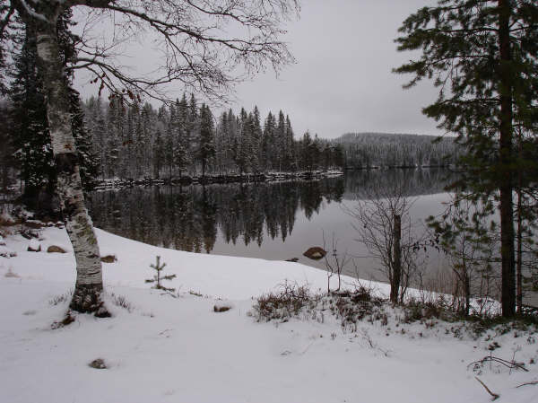 Långviken vid Gårdsjön. Bilden togs för något år sedan så idag är det betydligt mycke mer snö än vid detta tillfälle.