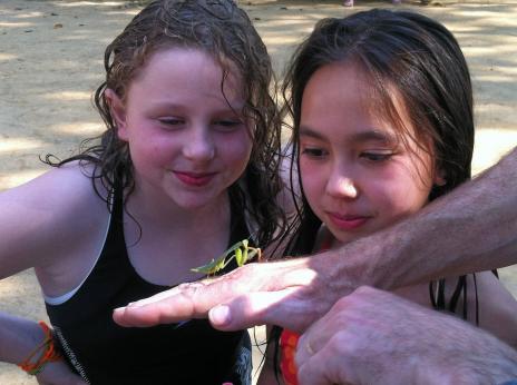 Och två svenska flickor som studerar bönsyrsan i min hand