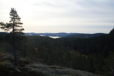 Utsikten vid Långtjärnshällarna mot Ullångersfjärden.