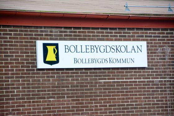 Tillsynen har skett vid samtliga skolor och förskolor inom Bollebygds kommun.