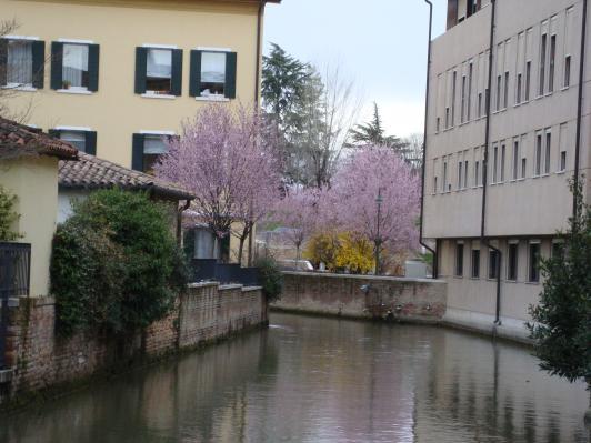Våren har kommit till Treviso!