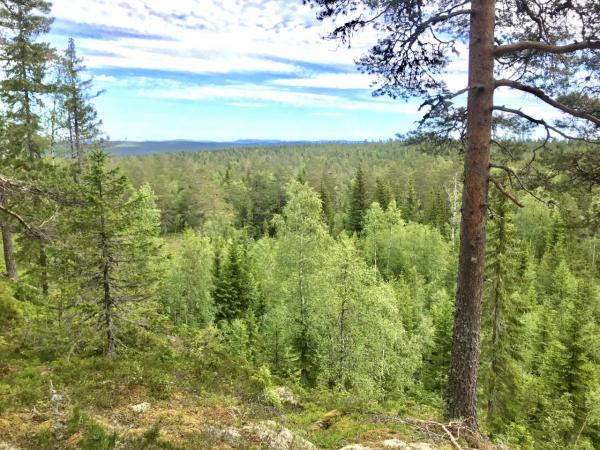 Utsikt från Svedjeberget. Troligen &Auml;skjastugan långt i fjärran
