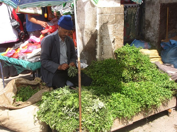 Essaouira - man selling mint