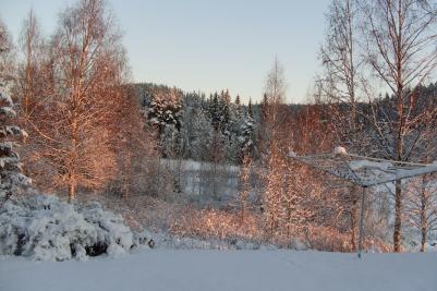 Vinterbild från Invik.