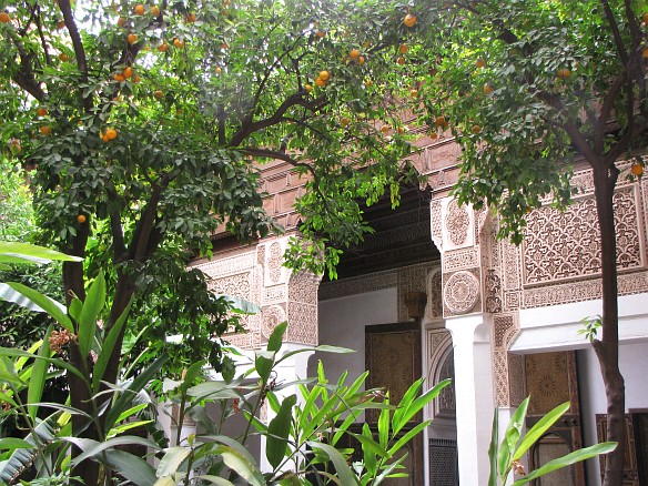 Bahia Palace - gardens with orange trees