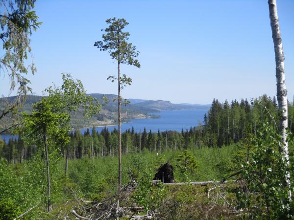 Utsikt över Ullångersfjärden