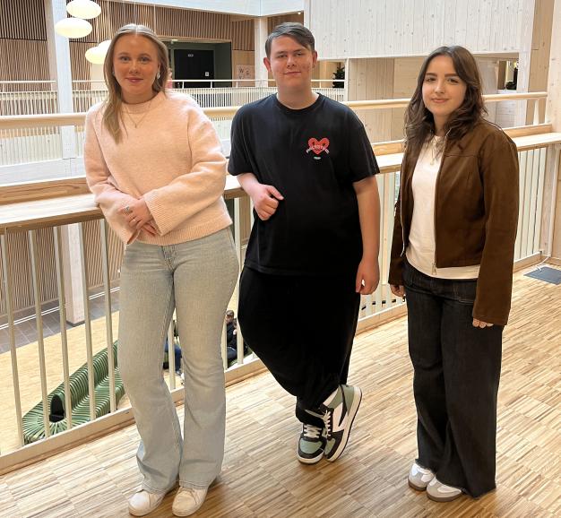 Alice Nilsson, Emrah Agovic och Sarah Boi jämför sina länders skolsystem. 