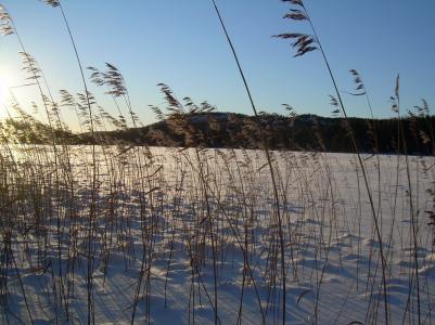En vacker vinterdag vid Stor&Aring;kersjön .