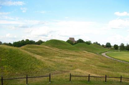 Undersökningsområdet vid kungshögarna i Gamla Uppsala ligger till höger på bilden