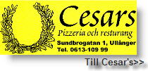 Cesars pizzeria och restaurang